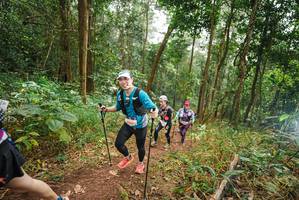 BIB: 
                            <button type="button" onclick="openModal(22482506)" class="btn btn-primary btn-sm float-right btn-popup" data-toggle="modal" data-target=".modal-high-quality">
                        <i class="fas fa-shopping-cart"></i> Add to Cart
                    </button>
                                            <button type="button" onclick="isThisMe(22482506, true)" class="btn btn-success btn-sm float-right btn-popup btn-isme hidden" data-toggle="tooltip" data-placement="bottom" title="นี่คือรูปของคุณใช่ไหม คลิกที่นี่เพื่อเอาเข้าอัลบั้ม">
                        <i class="fas fa-plus"></i> Add to album
                    </button>
                    <button type="button" onclick="isThisMe(22482506, false)" class="btn btn-warning btn-sm float-right btn-popup btn-isnotme hidden">
                        <i class="fas fa-ban"></i> Remove from album
                    </button>